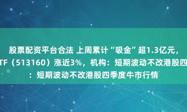 股票配资平台合法 上周累计“吸金”超1.3亿元,港股科技30ETF(513160)涨近3%,机构:短期波动不改港股四季度牛市行情